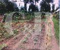 DIJUAL : Tanah hadap Selatan di Cikande, Serang