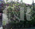 DIJUAL : Rumah Lama 1 Lantai, Ukuran Tanah 10m x 16m di Meruya