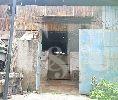 Gudang 480m2 , Lebar Jalan 4 mobil, HGB msh 20th di Pangeran Jayakarta