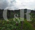DIJUAL : Tanah satu hamparan view bagus di Sukabumi, Sukabumi