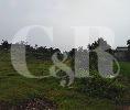 DIJUAL : Tanah industri dekat Millenium Baru di Cikupa, Tangerang