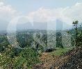 Tanah cocok untuk komersial, villa, atau kebun, SHM, Pinggir jalan di Bogor