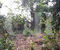 DIJUAL : Tanah cocok dibangun cluster di Ciledug, Tangerang