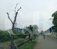Tanah dlm kaw industri Bogor, Super Premium, dkt gerbang tol dan LRT