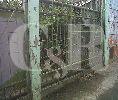 DIJUAL : Tanah dengan Bangunan Tua, Bisa Dibangun Untuk Kantor di Jalan Panjang, Jakarta Barat