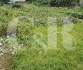 Tanah siap bangun 10m x 25m, lokasi strategis di Meruya