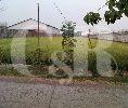 DIJUAL : Tanah dengan Luas 8330m2, Bisa Untuk Pabrik, Area Masaran di Sragen, Solo