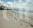 DIJUAL : Tanah pantai cocok untuk resort, wisata Surfing di Krui, Bandar Lampung