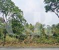 Tanah industri, dekat akses toll, lbr jln 4mbl di Delta Silikon